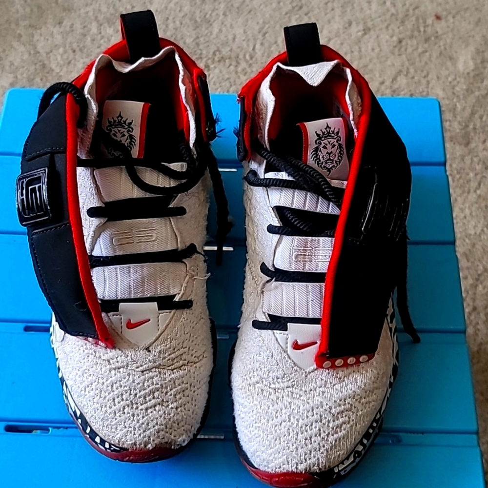 Boys LeBron Sneakers